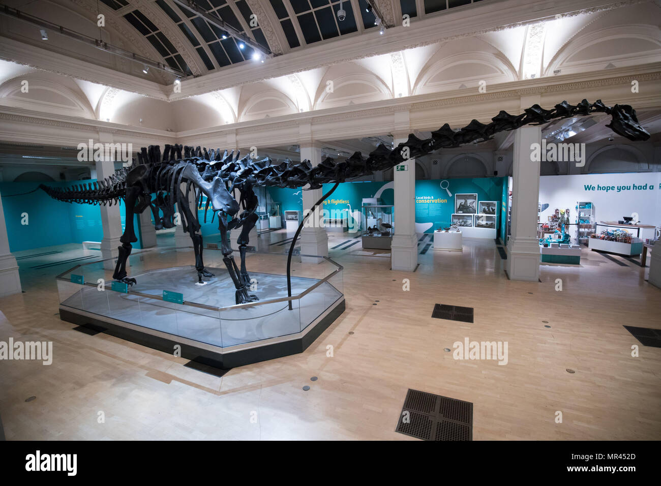 Dippy, das Natural History Museum von Diplodocus Skelett in Birmingham Museum & Art Gallery vor ihrer Eröffnung am Samstag, dem zweiten Stopp auf ihrer UK-Tour installiert ist. Stockfoto