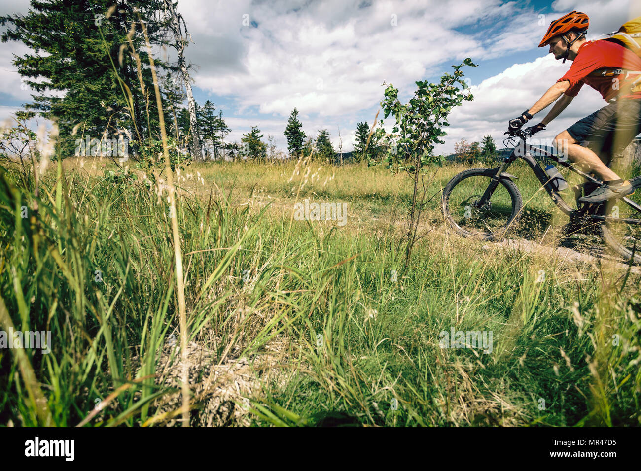 Mountainbike Mann reiten auf dem Fahrrad im Sommer inspirierende Landschaft. Bikepacking, Radfahren auf enduro Trail. Sport Fitness Motivation und Inspiration. Stockfoto