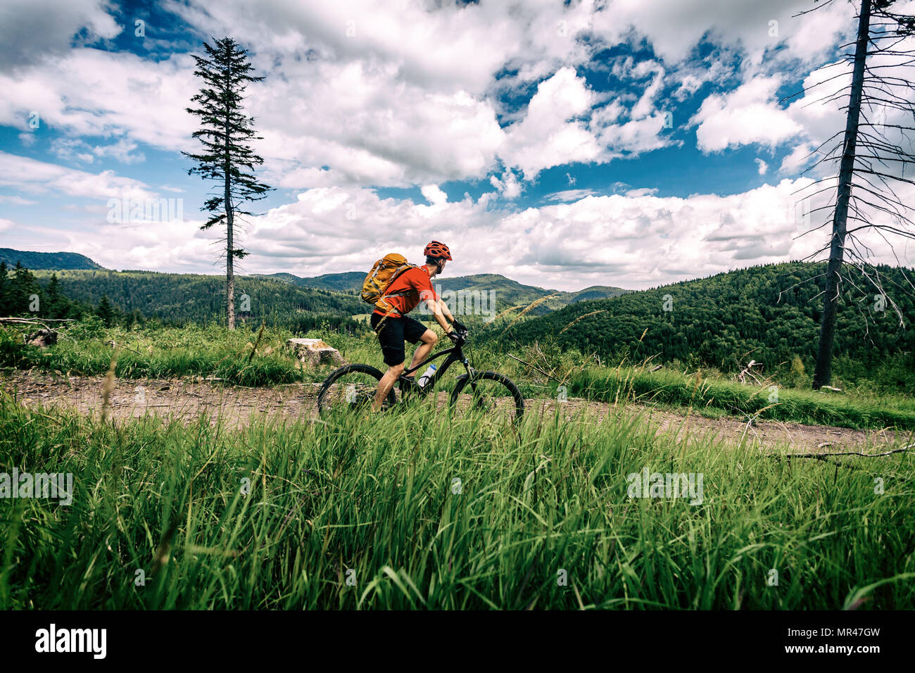 Mountainbike Mann reiten auf dem Fahrrad im Sommer inspirierende Landschaft. Bikepacking, Radfahren auf enduro Trail. Sport Fitness Motivation und Inspiration. Stockfoto