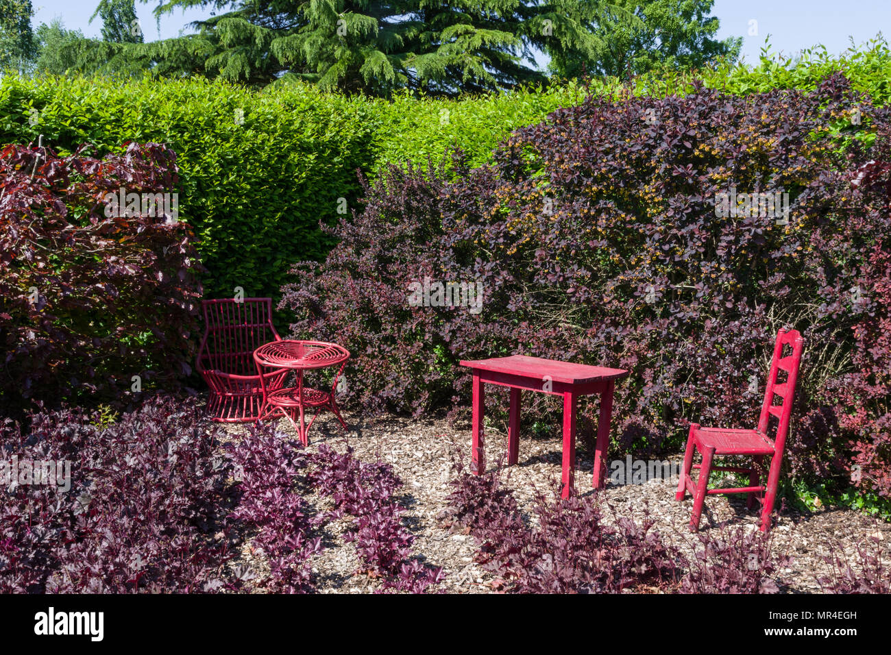 Die roten Studio Garten, eine Hommage an Henri Matisse; Eine von mehreren Themengärten an Kathy Brown's Garten, Stevington, Großbritannien Stockfoto