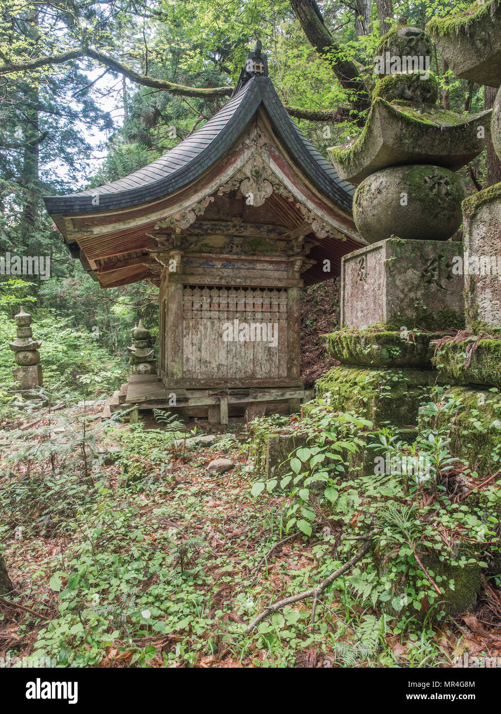 Holz- Mausoleum, und gorinto 5-tiered Stupas, Okunoin, Koyasan, Präfektur Wakayama, Japan Stockfoto