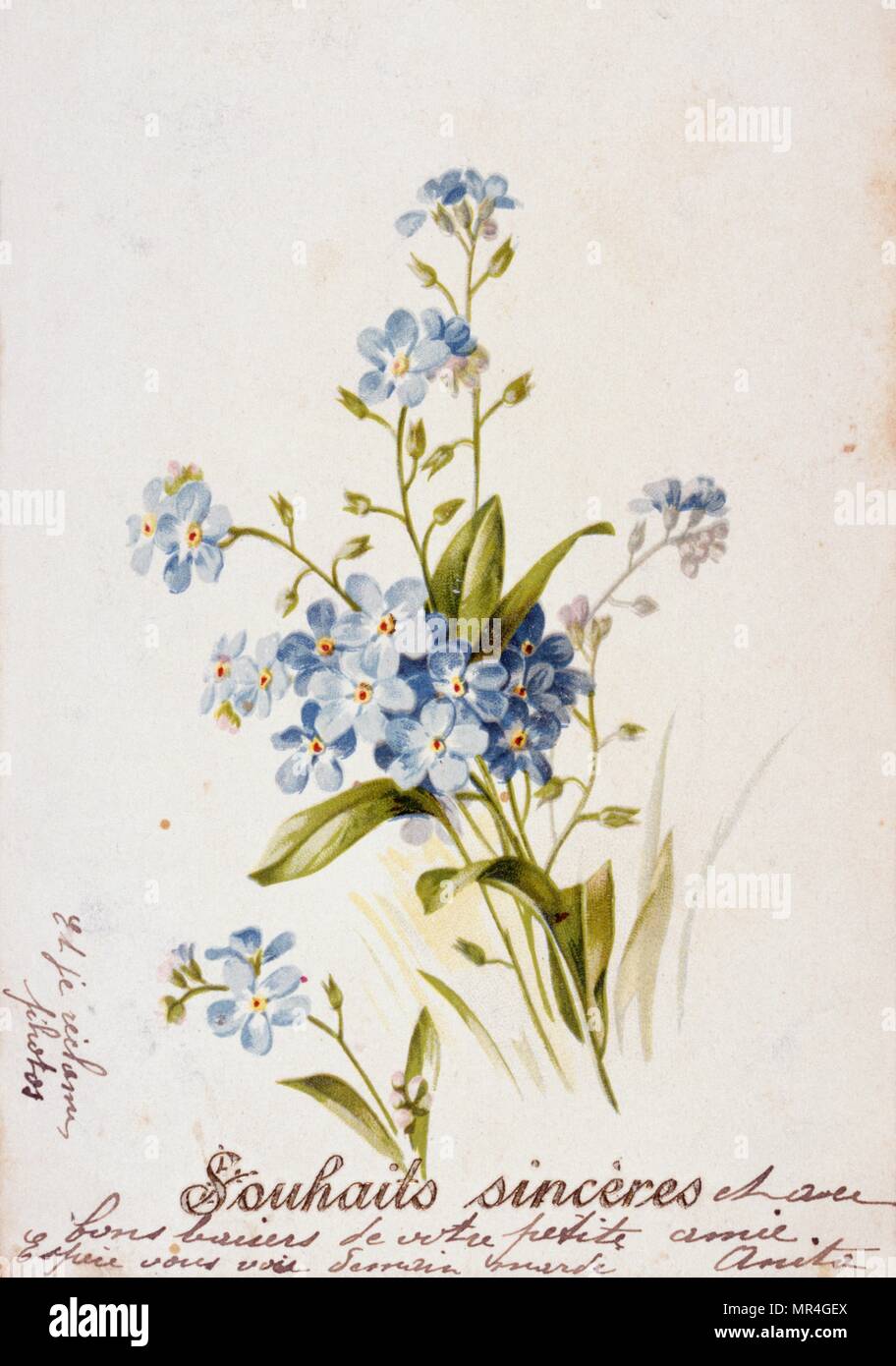 Französische Geburtstagskarte mit floralen Elementen 1900 Stockfoto