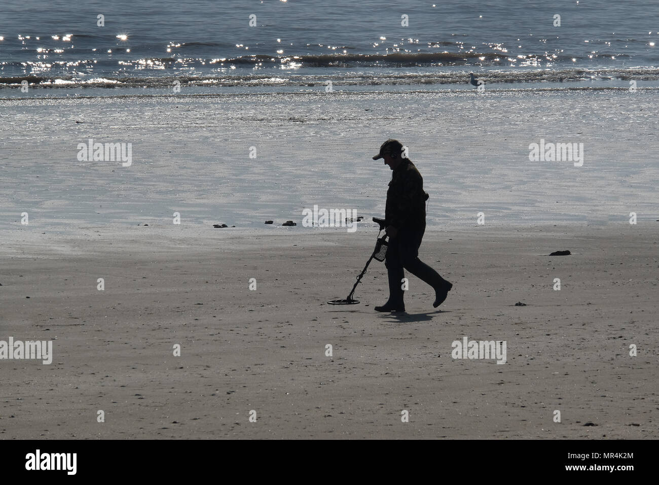 Mann in Silhouette entlang eine Strand bei Ebbe mit einem Metalldetektor. Stockfoto
