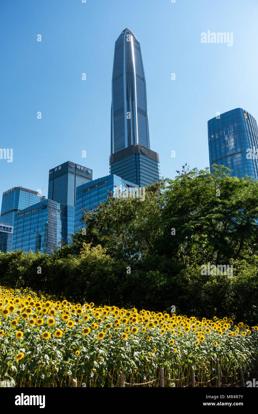 Shenzhen skyline Ping ein Gebäude im Hintergrund, Sonnenblumen im Vordergrund Stockfoto