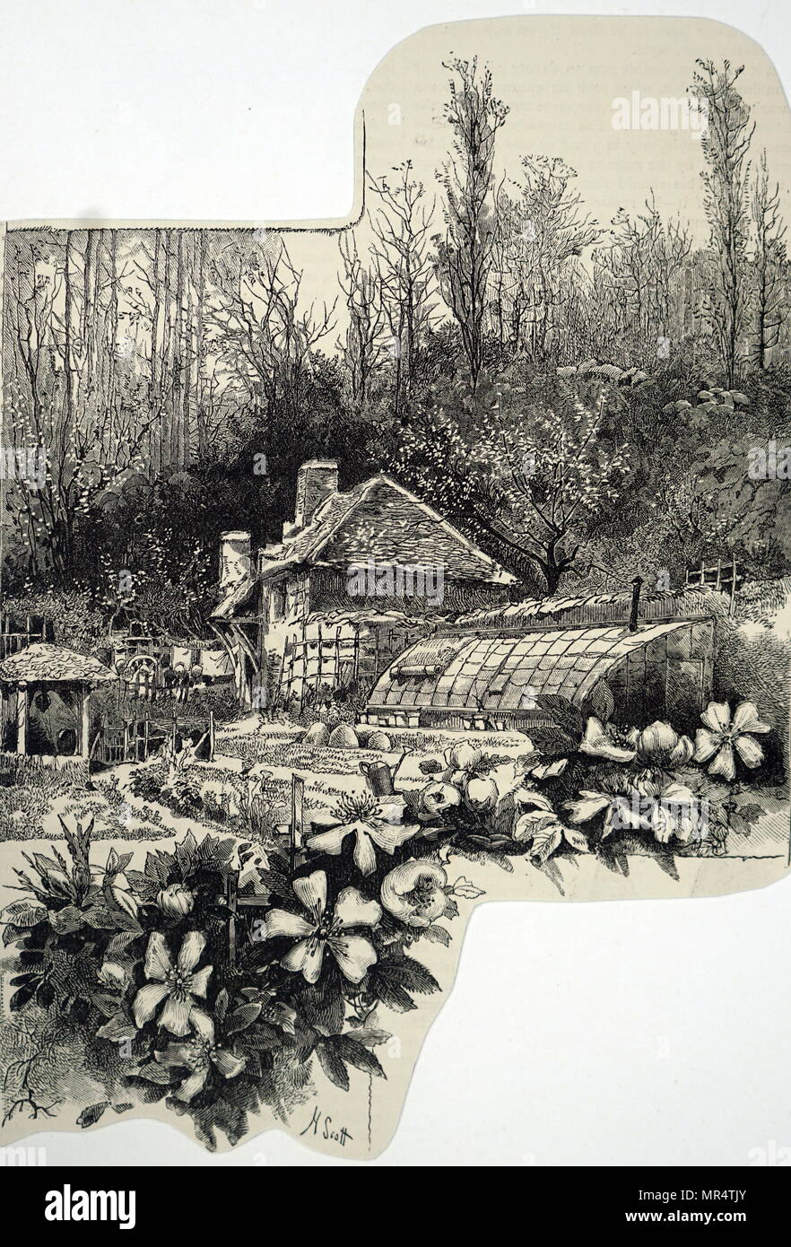 Ein englisches Cottage Garden. 1884. Viktorianische Abbildung Stockfoto