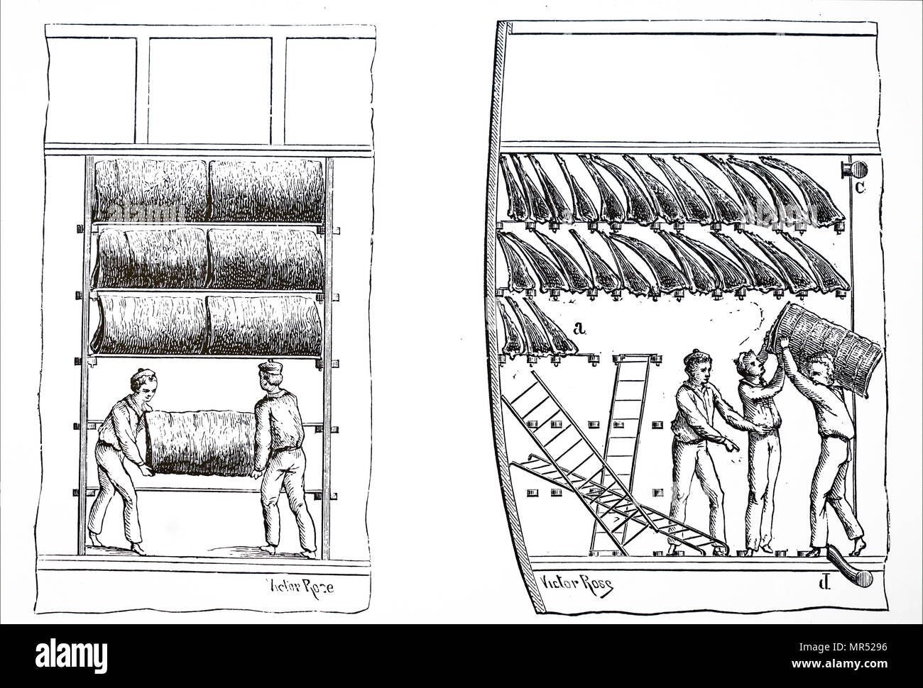 Querschnitt der hält eine gekühlte Schiff, Anzeigen Männer handling Seiten von Fleisch durch Charles Tellier (1828-1913), ein französischer Ingenieur geplant. Vom 19. Jahrhundert Stockfoto