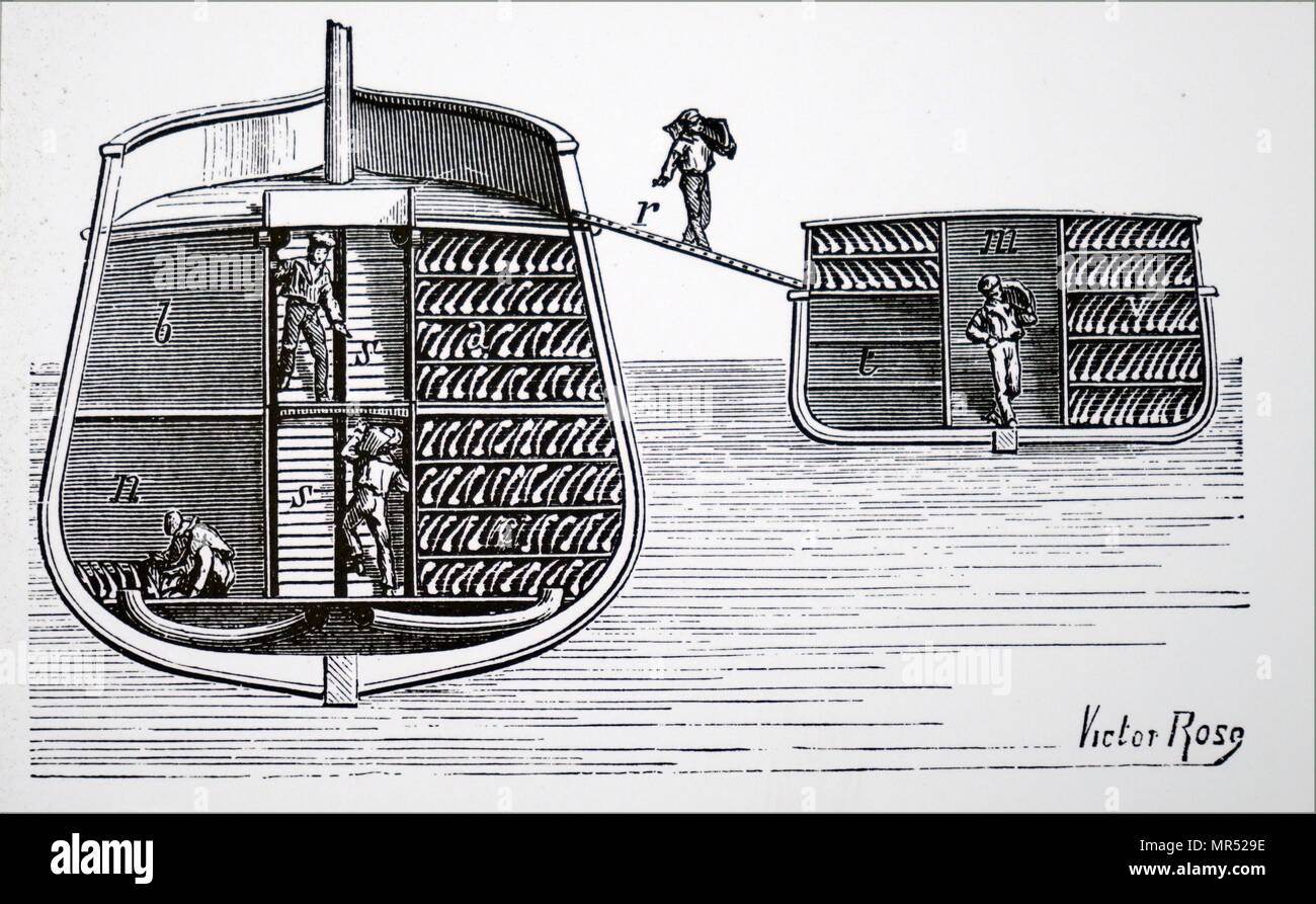Querschnitt der hält eine gekühlte Schiff, Anzeigen Männer handling Seiten von Fleisch durch Charles Tellier (1828-1913), ein französischer Ingenieur geplant. Vom 19. Jahrhundert Stockfoto