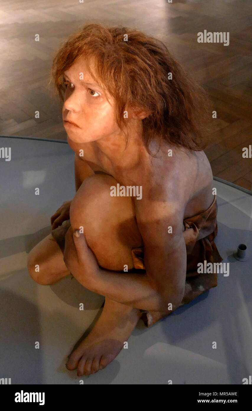 Ein weiches Gewebe Rekonstruktion eines Homo Neanderthalensis auf dem Schädel eines Neandertalers männlichen dating von 50.000 BC basiert Stockfoto