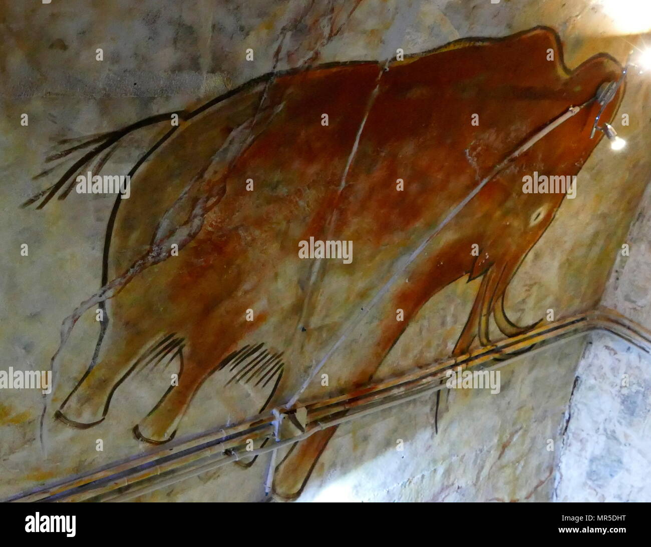 Replica Malerei aus der Höhle von Altamira (Cueva de Altamir) in der Nähe der historischen Stadt Santillana del Mar in Kantabrien, Spanien gelegen, ist für seine zahlreichen parietalen Höhlenmalereien mit kohlezeichnungen und polychrome Gemälde zeitgenössischer Flora und menschliche Hände, zwischen 18.500 und 14.000 Jahren während der jungpaläolithikum Erstellt von Paleo menschlichen Siedler bekannt. Die frühesten Bilder in der Höhle wurden rund 35.600 Jahren ausgeführt. Stockfoto