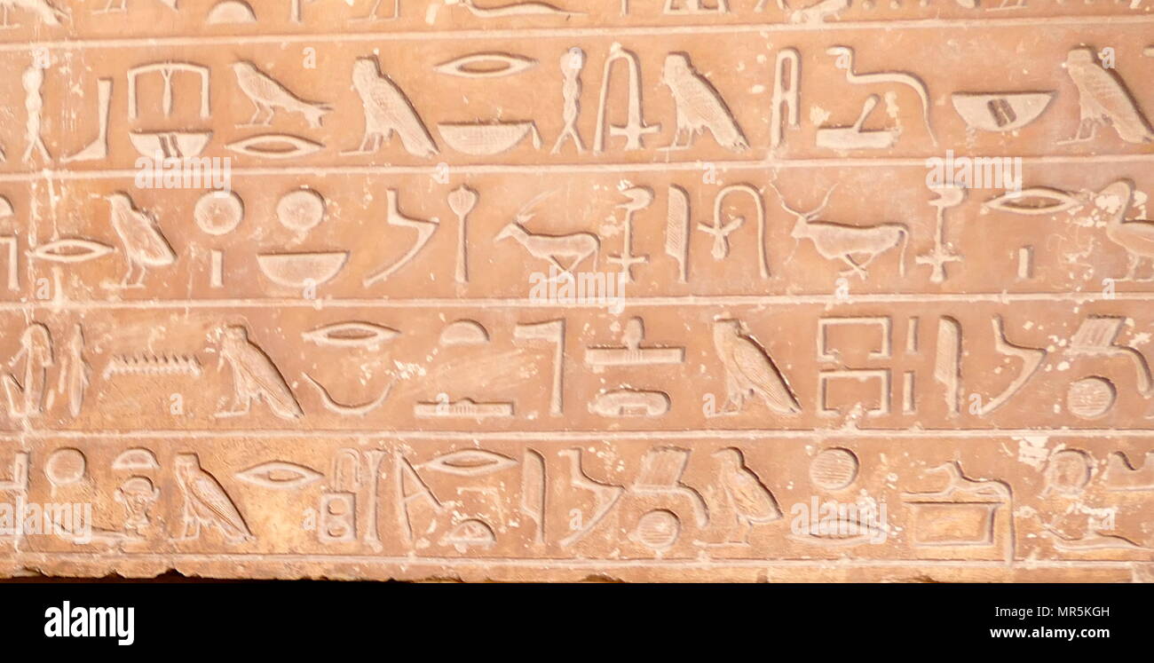Hieroglyphen an der Wand im Grab der Idu in der Nekropole von Gizeh, Kairo, Ägypten. G 7102 oder die Idu Mastaba, liegt östlich von Königin Hetepheres Pyramide in der Großen Pyramide komplex. Er war ein Beamter der sechsten Dynastie, wahrscheinlich während der Herrschaft von Pepi I. Er ist der Titel Griffel der Königlichen Dokumente' statt, Pepi ich Meryre (2332-2287 v. Chr.), als der dritte König der sechsten Dynastie regierte Stockfoto