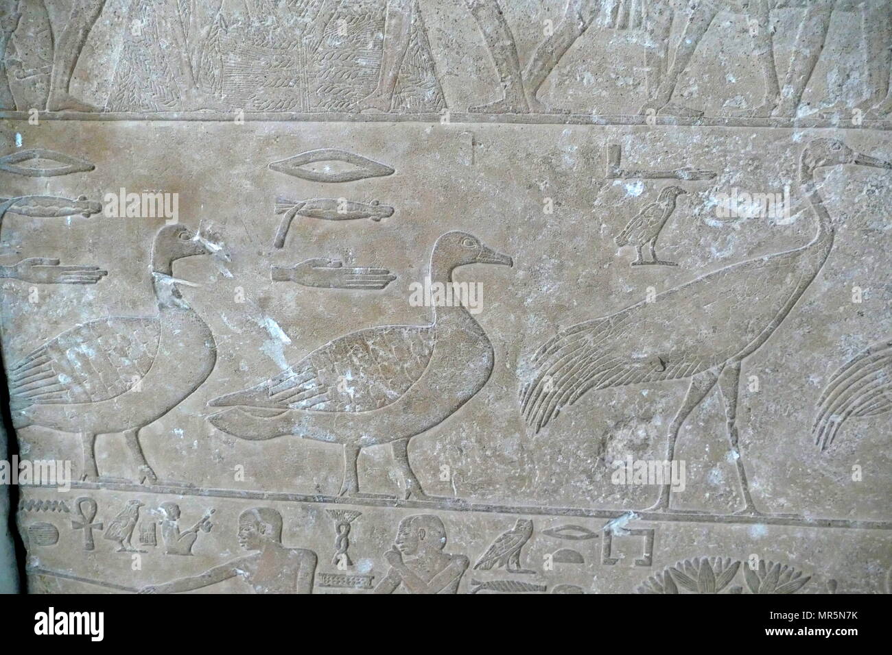 Kalkstein Relief aus dem Grab eines unbekannten Edel. In Meidum, meidum oder Meidum, Ägypten gefunden. 3. Dynastie. 2600 v. Chr. Stockfoto