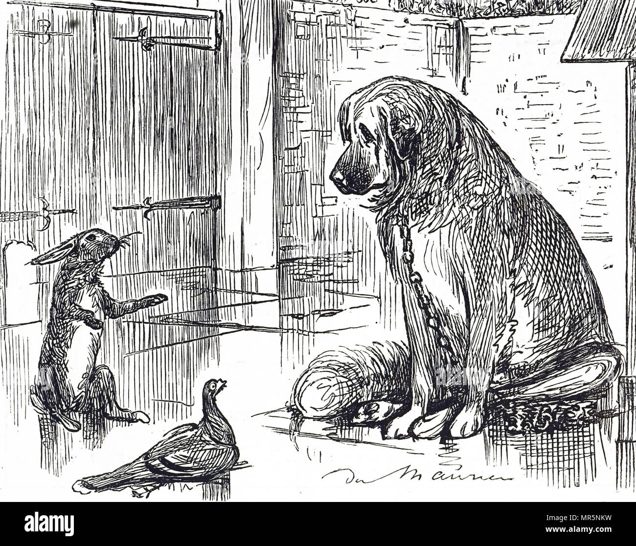 Cartoon kommentierte der Grausamkeit gegenüber Tieren Act 1876 - ein Plädoyer für den Rest des Tierreiches so viel Beachtung wie die Tiere in die vivisektion Experimente verwendet werden. Mit Ill. von George Du Maurier (1834-1896) eine französisch-britische Zeichner und Autor. Vom 19. Jahrhundert Stockfoto