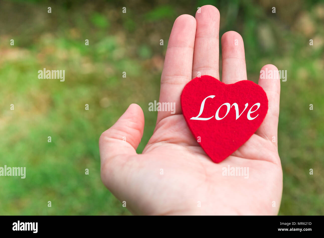Rotes Herz mit Liebe Wort in der Hand auf dem grünen Rasen Hintergründe mit Kopie Raum Stockfoto