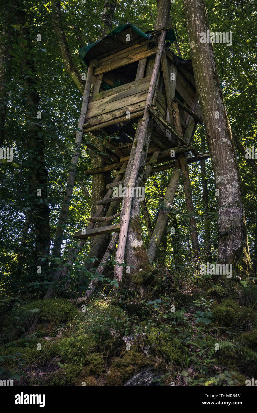 Jäger sitz Wald Stockfoto