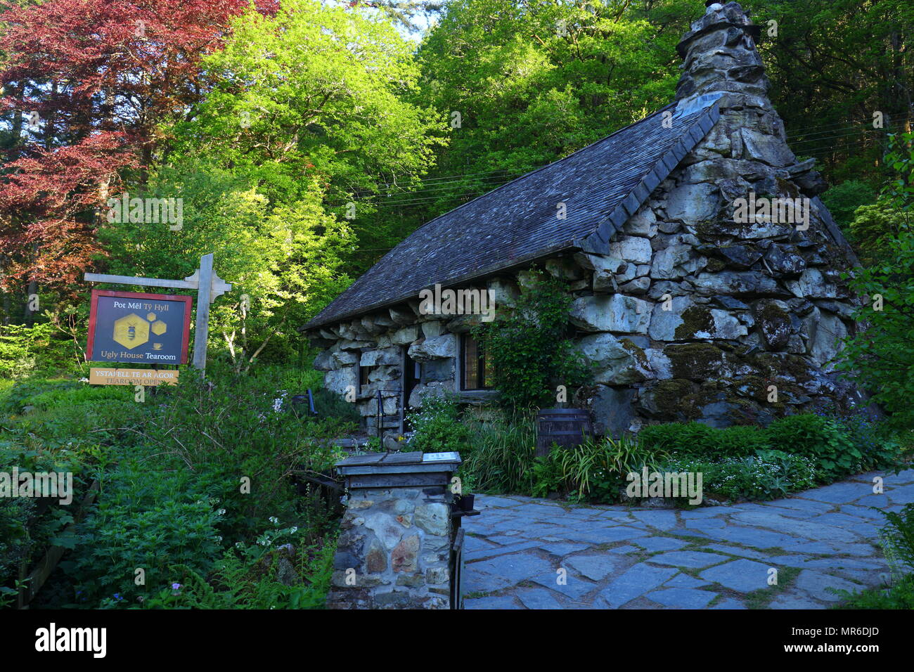 Spaziergang entlang des Flusses Llugwy in der Nähe von Das hässliche Haus Stockfoto