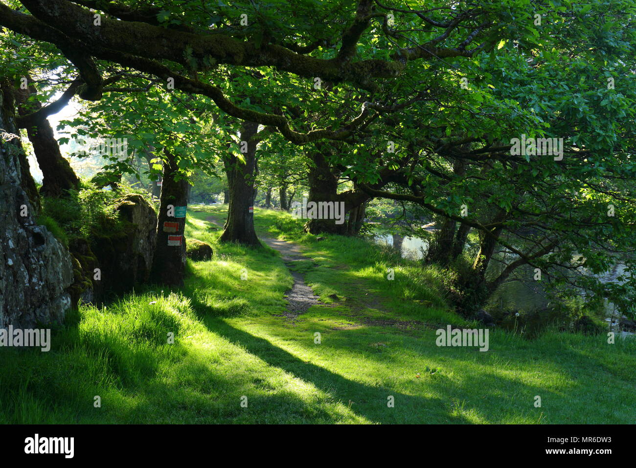 Spaziergang entlang des Flusses Llugwy in der Nähe von Das hässliche Haus Stockfoto