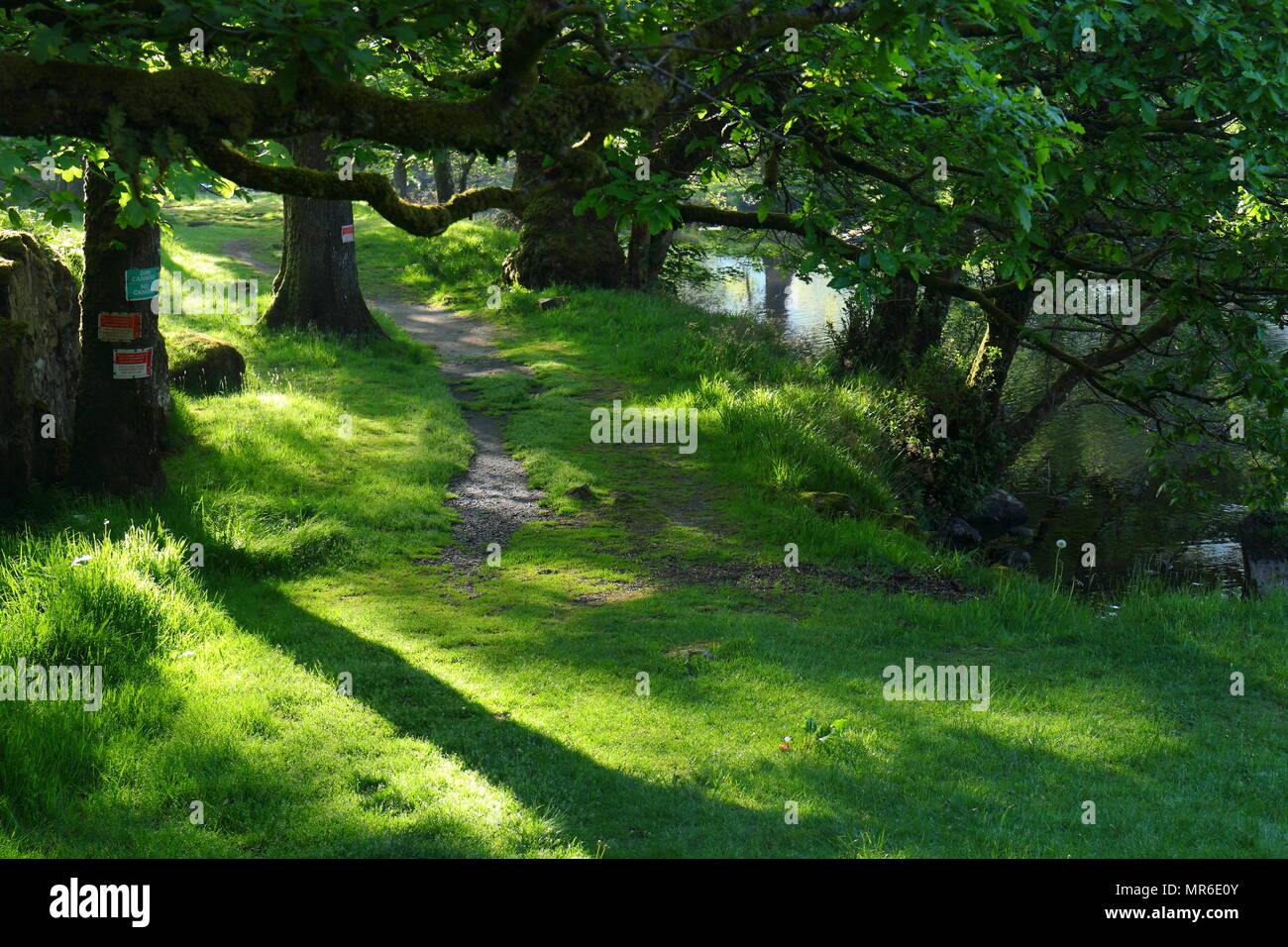 Spaziergang entlang des Flusses Llugwy in der Nähe von Das hässliche Haus Stockfoto