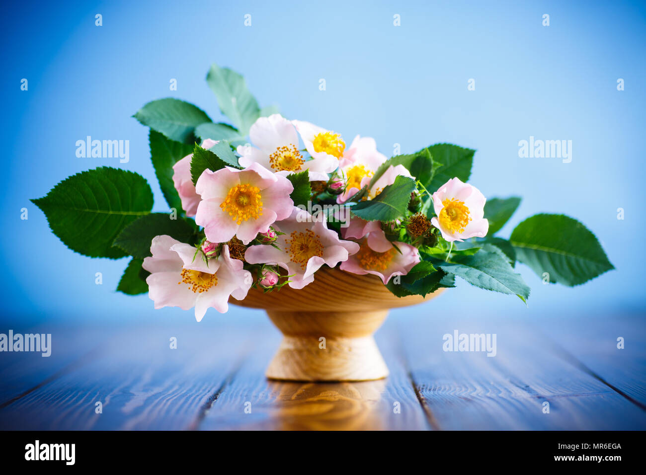 Schönen blühenden Rosen und eine Grußkarte für die Mutter Stockfoto