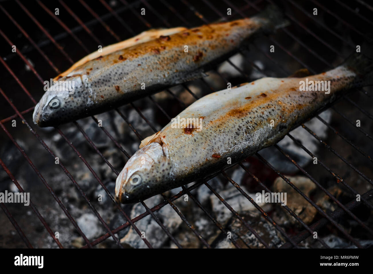 Mann Am Grill Kochen Stockfotos und -bilder Kaufen - Alamy