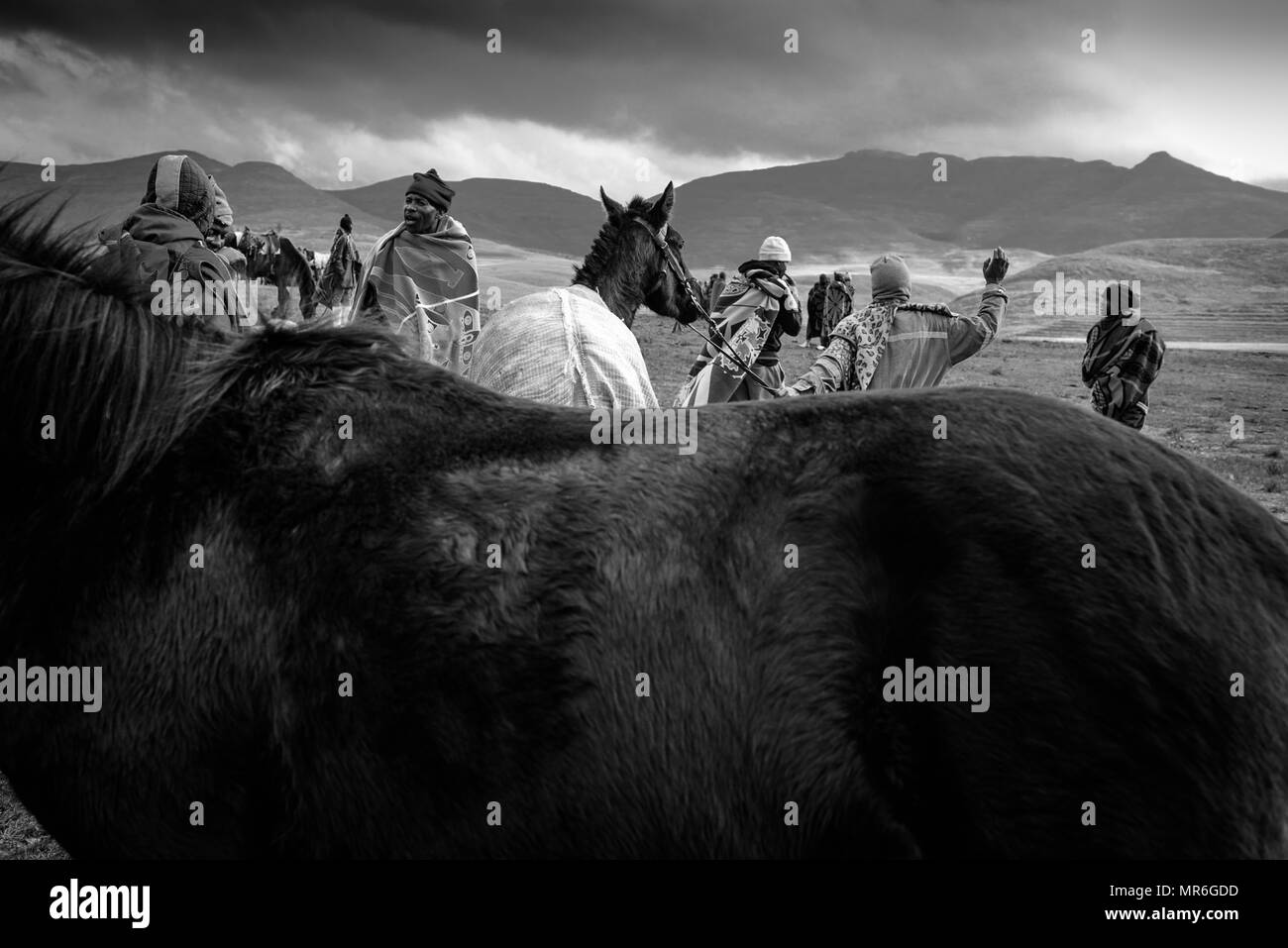 Ein Rennen treffen in Semonkong in Lesotho. Reiter aus umliegenden Dörfer und Gehöfte konkurrieren für einen kleinen Geldbeutel während der Winterspiele Stockfoto