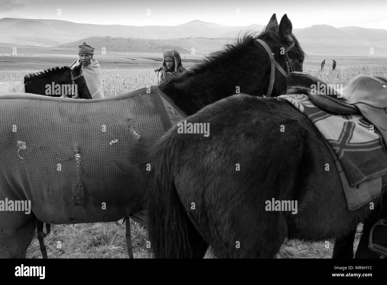 Ein Rennen treffen in Semonkong in Lesotho. Reiter aus umliegenden Dörfer und Gehöfte konkurrieren für einen kleinen Geldbeutel während der Winterspiele Stockfoto