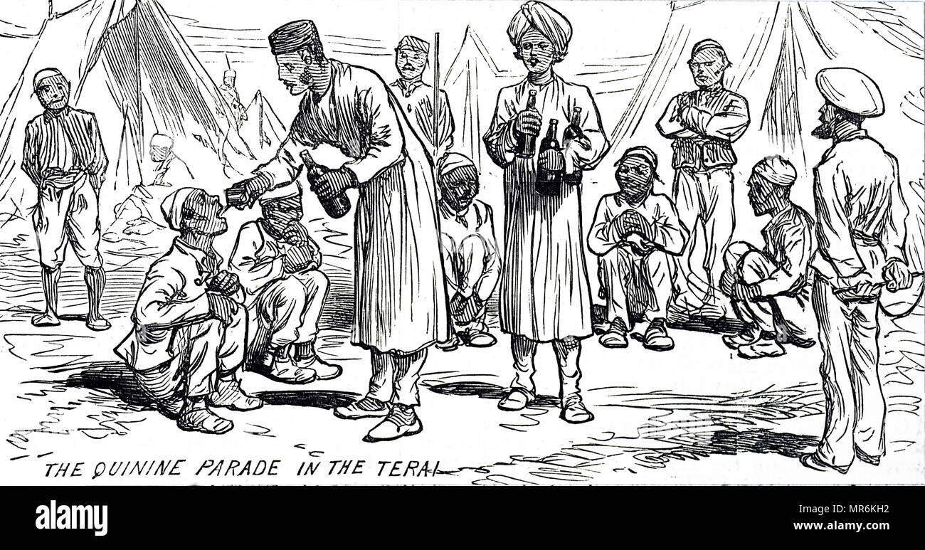Cartoon, der die Verwaltung von Chinin zu den Truppen während des afghanischen Krieg. Chinin ist ein Medikament, das zur Behandlung von Malaria und der Babesiose zu behandeln. Vom 19. Jahrhundert Stockfoto