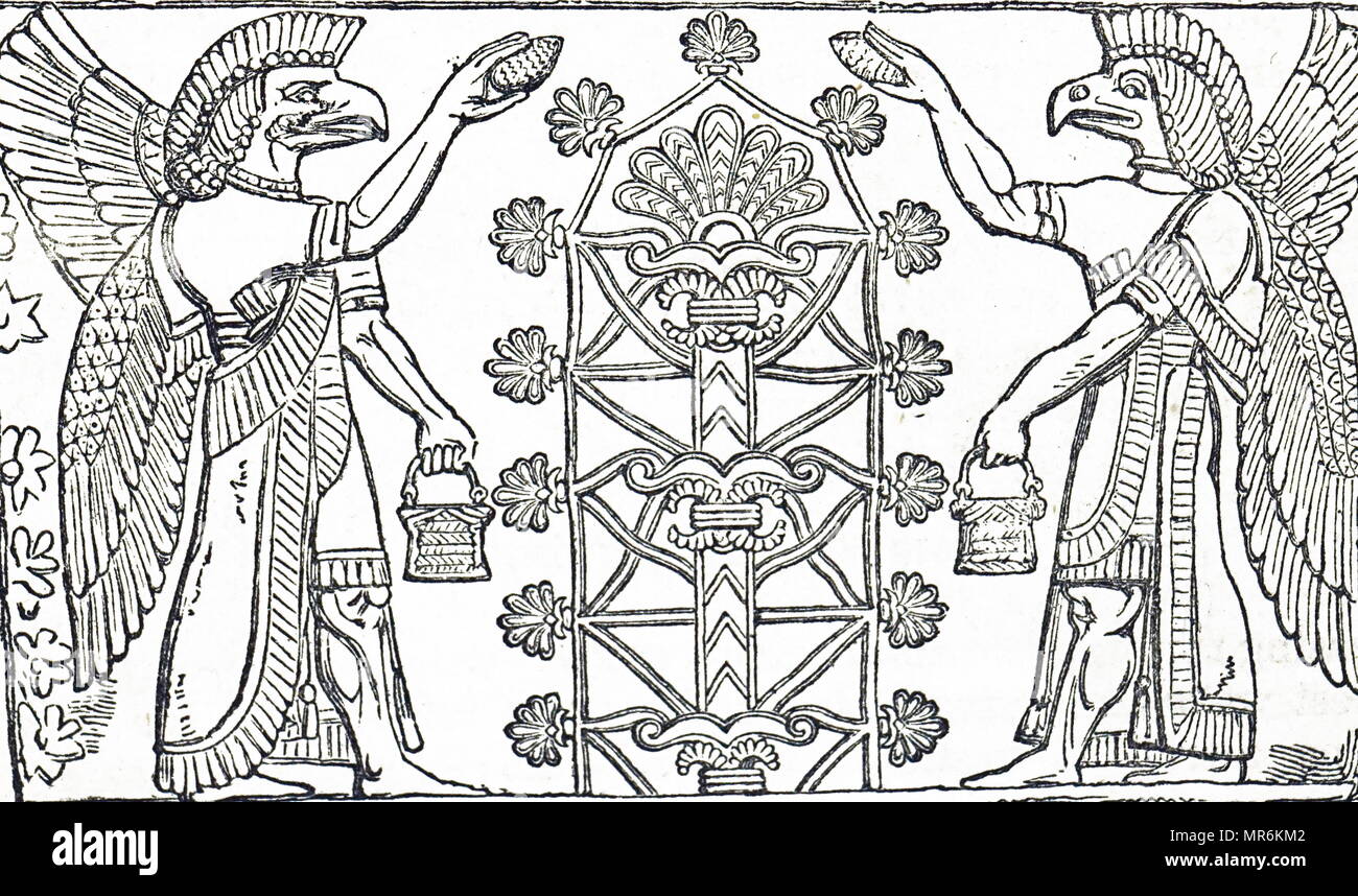 Kupferstich mit der Darstellung der Assyrischen geflügelte Gott Nesroch spiegelbildlich auf beiden Seiten einer symbolischen Baum. Vom 19. Jahrhundert Stockfoto