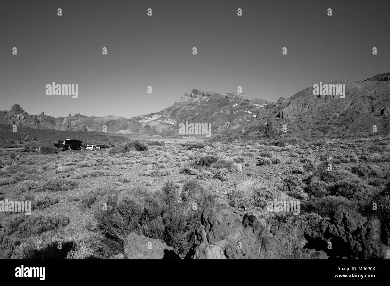 Teneriffa Stockfoto