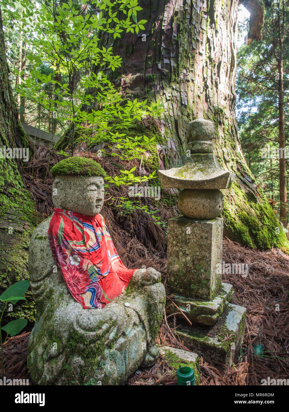 Bosatsu jizo Statue neben riesigen sugi Baum und gorinto, fünf-tiered Stupa, ehrengrab Herd, Okunoin, Koya-san, Präfektur Wakayama, Japan Stockfoto