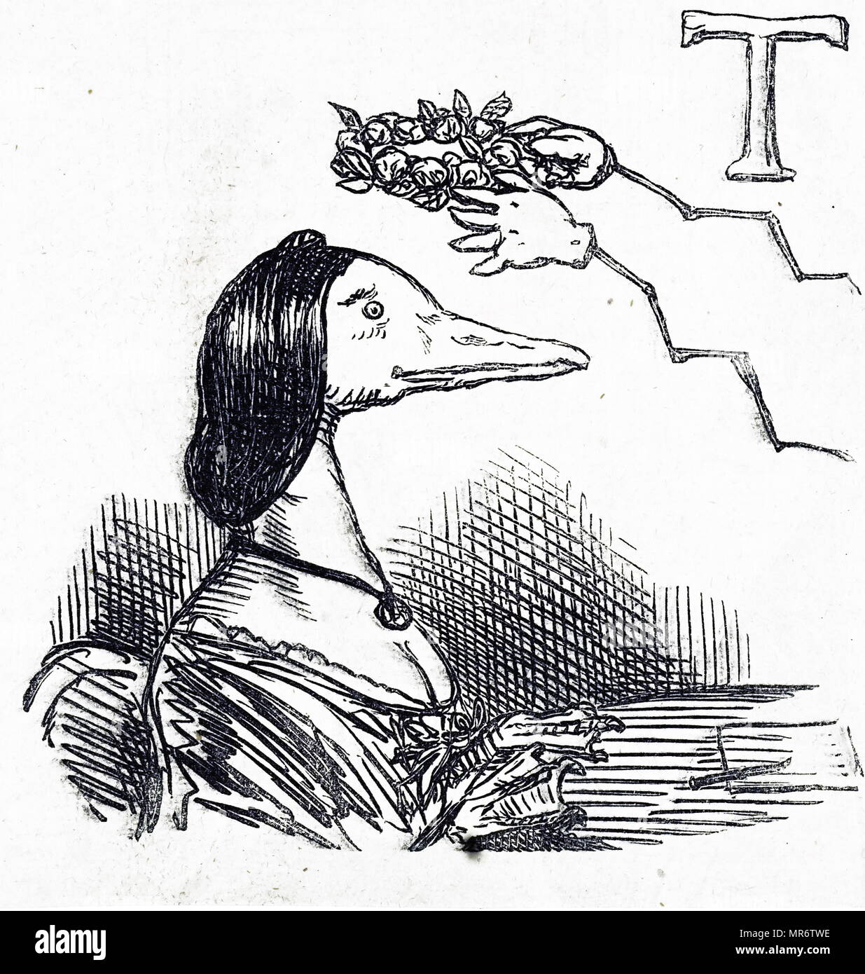 Cartoon 1870 zeigt eine zoomorphe Ente eine lorbeergirlande als modisches Accessoire. Englisch 19. Jahrhunderts; Stockfoto