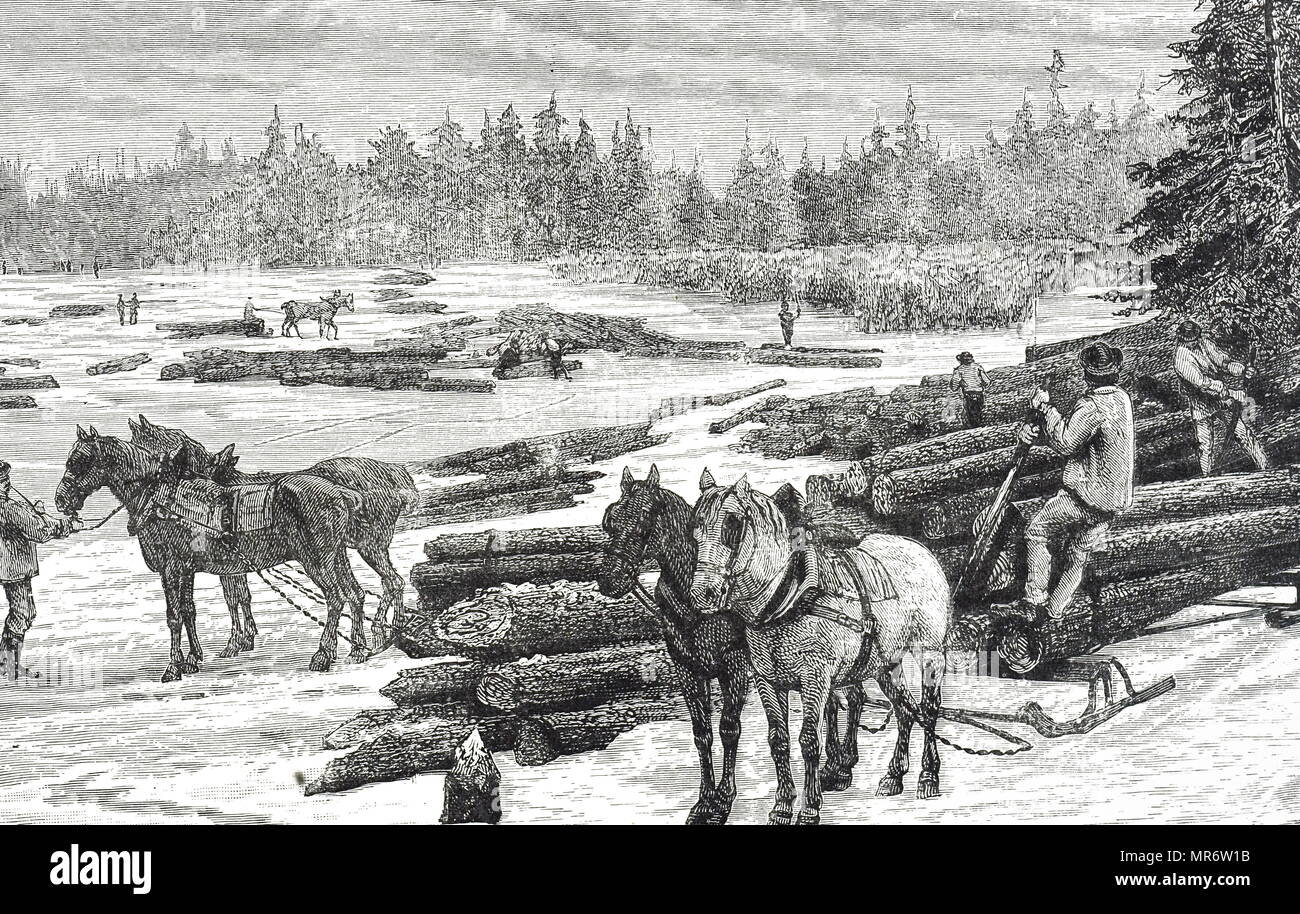 Gravur, Kanadische Holzfäller Holz bilden in Flöße bereit, unten am Fluss gebracht werden. Vom 19. Jahrhundert Stockfoto