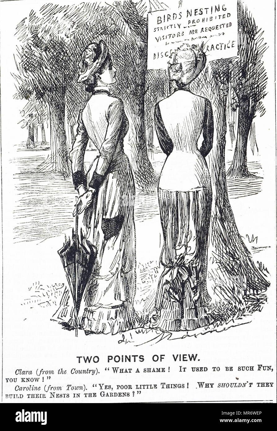 Cartoon in Bezug auf den Schutz von Vögeln Act 1880. Mit Ill. von George Du Maurier (1834-1896) eine französisch-britische Zeichner und Autor. Vom 19. Jahrhundert Stockfoto