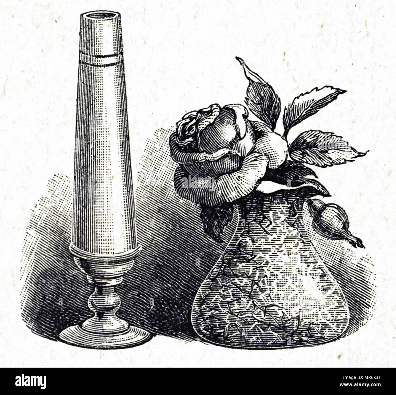 Gravur mit zwei verschiedenen Arten von Vasen als geeignet für den Tisch. Vom 19. Jahrhundert Stockfoto
