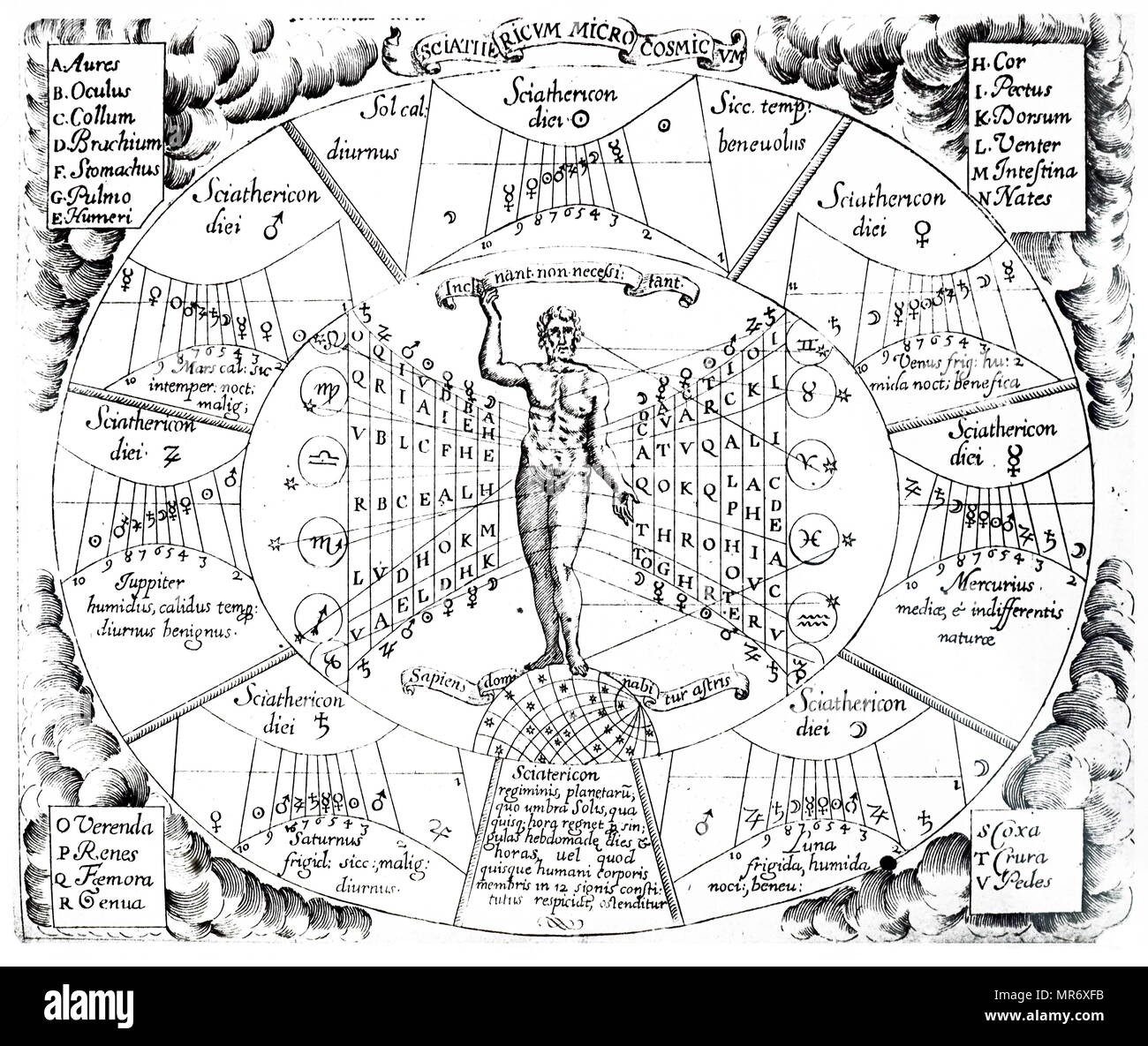 Horoskop zeigt die Einflüsse der Planeten und Konstellationen auf die Organe des Körpers. Vom 17. Jahrhundert Stockfoto