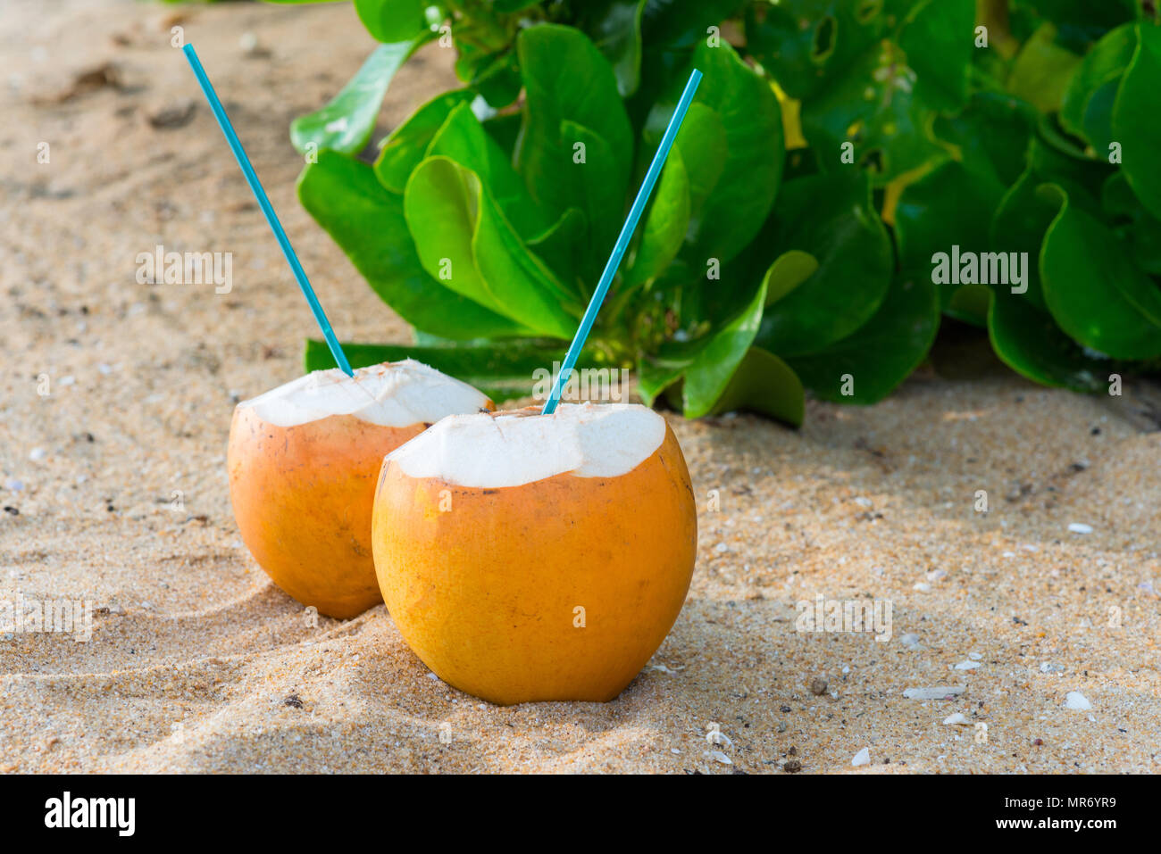 Köstliche Cocktails in Kokosnüsse auf sandigen tropischen Strand Stockfoto