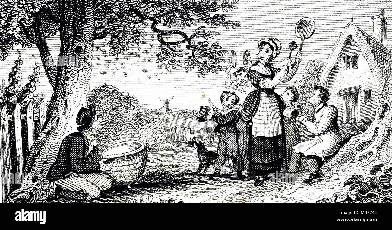 Gravur Darstellung einer Familie schlagen Pfannen und Metall Küchengeräte ein Schwarm Bienen in einem Baum zu vereinbaren, so dass Sie verfangen könnten, ist zu fördern. Die Idee war, dass die Bienen das Geräusch für Thunder nehmen würde, und so würde eine Ruhestätte finden, bevor der Regen erwischt. Vom 19. Jahrhundert Stockfoto