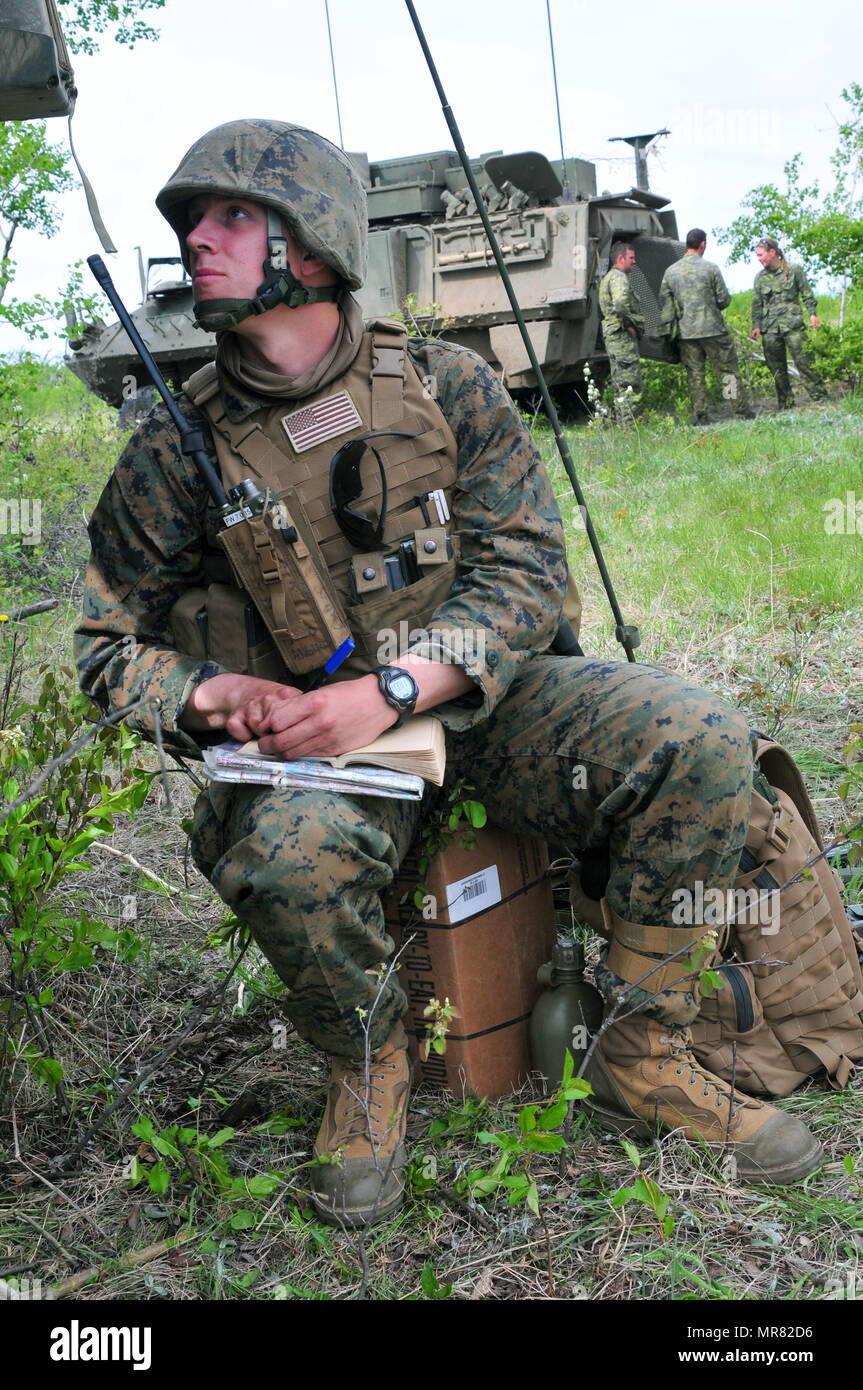 Maple Resolve 17 war eine Validierungsübung der kanadischen Armee, die im Mai 2017 in Camp Wainwright, Alberta, Kanada, durchgeführt wurde. Ein US-Marine-Feuerwehrspezialist der 3rd Air Naval Gunfire Liaison Company erhält Informationen zur Kampfverfolgung, während er an der Seite von Soldaten des 2. Royal Canadian Regiment während einer Aufklärungsmission operiert. Das Archivbild dokumentiert die gemeinsame Interoperabilitätstraining zwischen den Reserveeinheiten des United States Marine Corps und den Einheiten der kanadischen Armee. Stockfoto