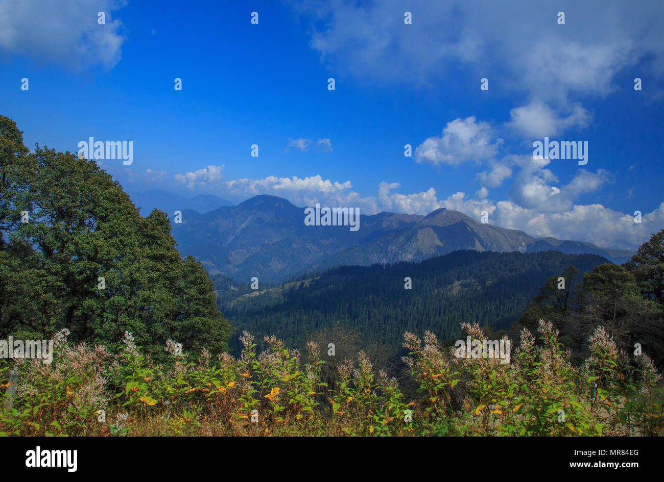 Blick auf die Berge - fotografiert von Jalori Pass (Himachal Pradesh, Indien) Stockfoto