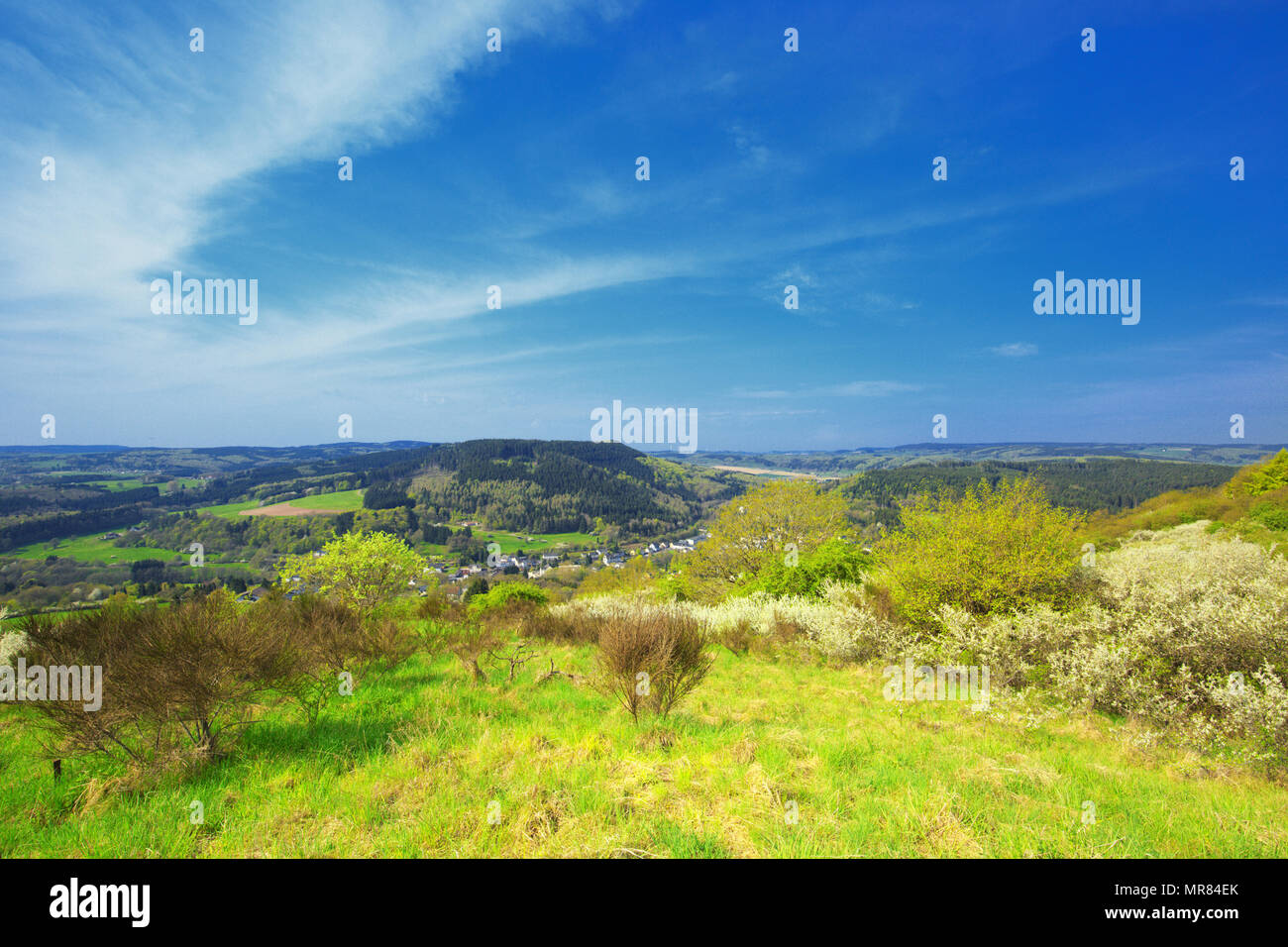 Deutsche Eifel Landschaft im Frühjahr in der Nähe von Roth und Gerolstein mit blühenden Schlehe, Prunus Spinoza, frische grüne Gras und Vistas gegen Himmel mit Wolken Stockfoto