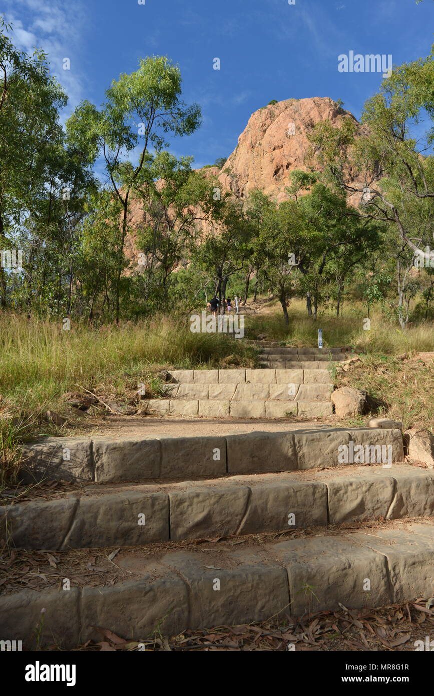 Stein Schritte durch den australischen Busch auf der Cudtheringa Wanderweg, Castle Hill, QLD 4810, Australien Stockfoto