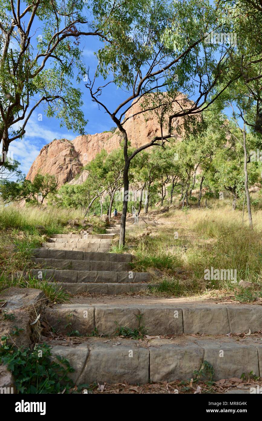 Stein Schritte durch den australischen Busch auf der Cudtheringa Wanderweg, Castle Hill, QLD 4810, Australien Stockfoto