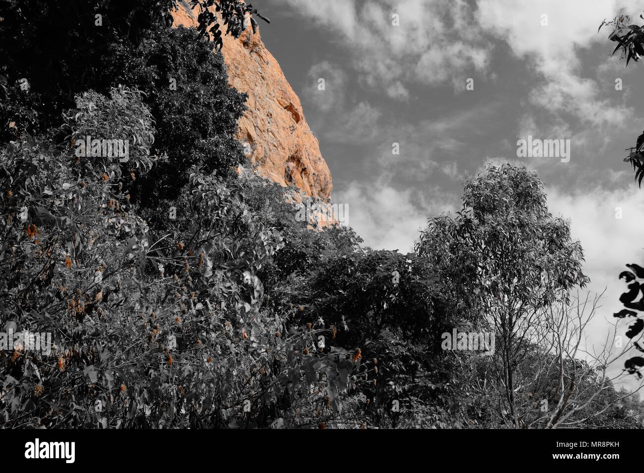 Castle Hill gegen Eukalyptusbäumen orange Filter, Castle Hill, QLD 4810, Australien Stockfoto