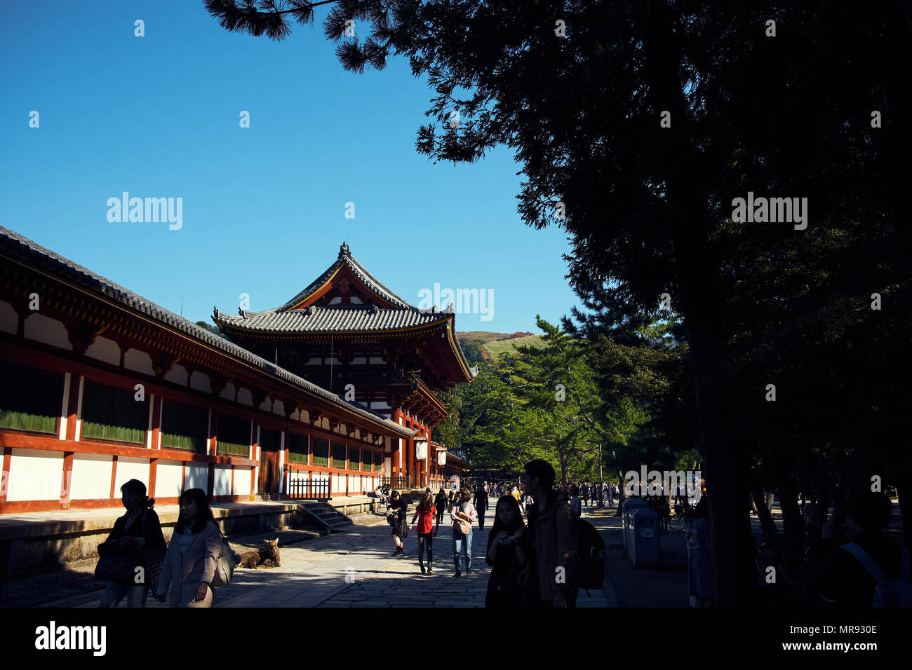 Tōdai-ji in Nara, Japan Stockfoto