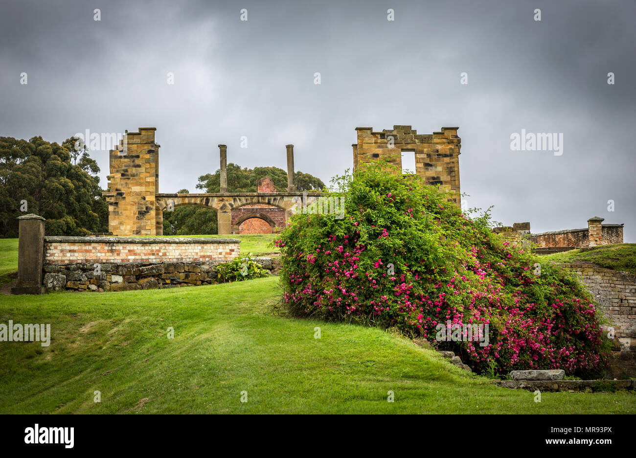 Gärten und Laub in Port Arthur Sträflingssiedlung in Tasmanien Australien Stockfoto