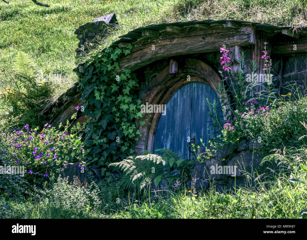 Hobbit Loch in Hobbiton, Nz Stockfoto