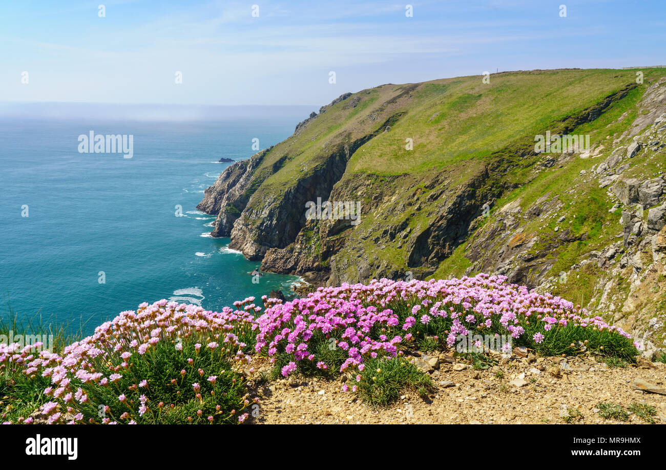 Felsige Küstenlinie der Insel Lundy aus Devon Stockfoto