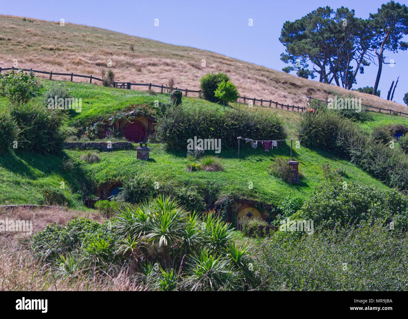 Hügel mit hobbit Löcher in Hobbiton, Nz Stockfoto