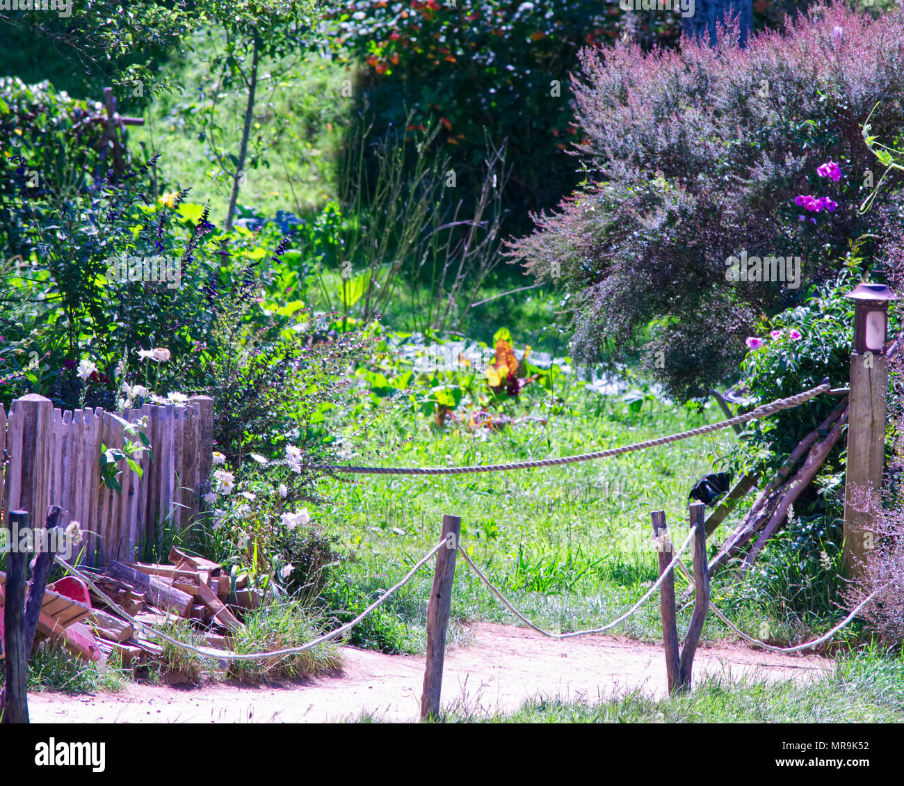 Pfad in Hobbiton, Nz Stockfoto