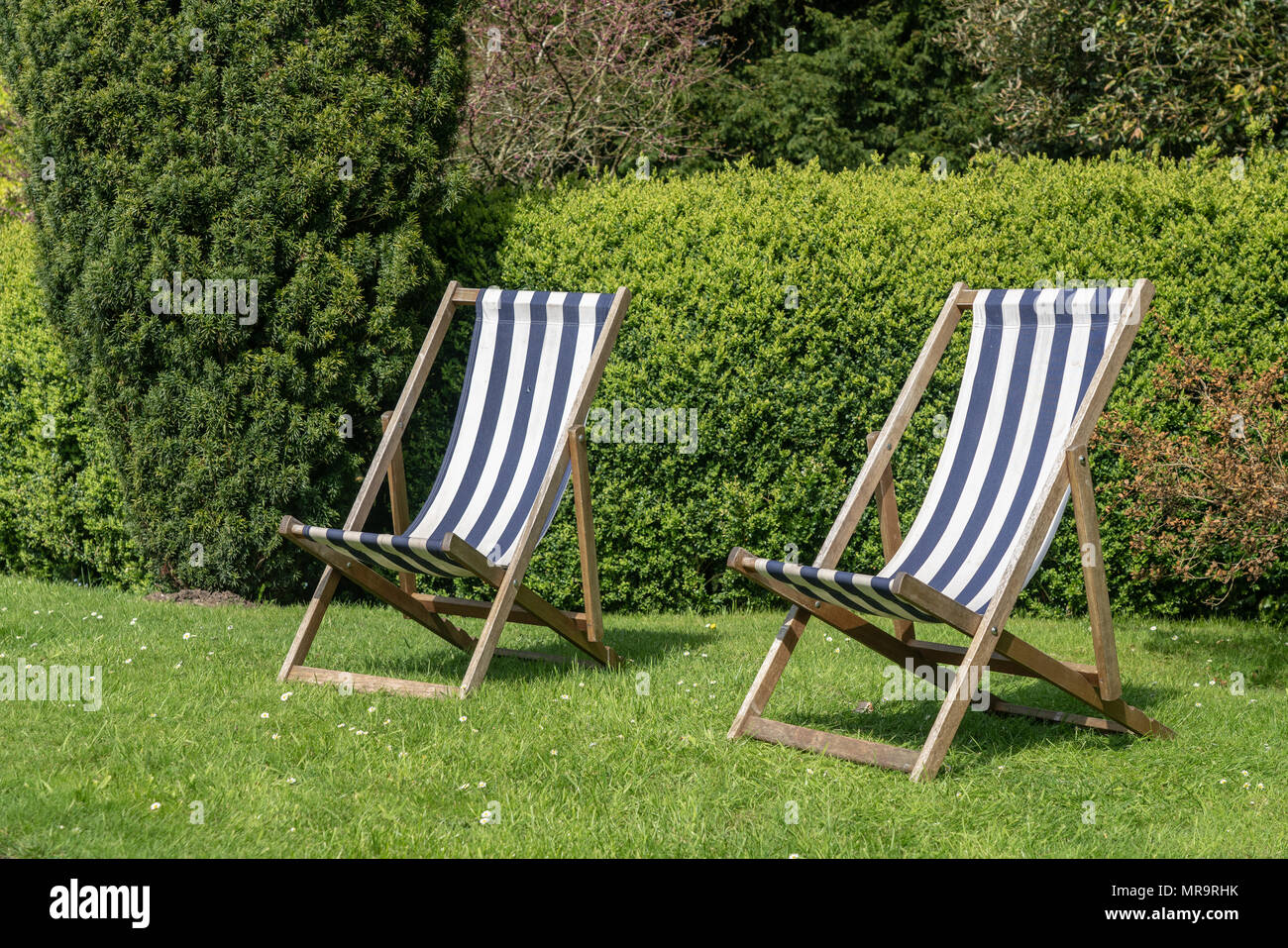 Zwei typische englische Liegestühle auf dem Rasen im Garten Stockfoto