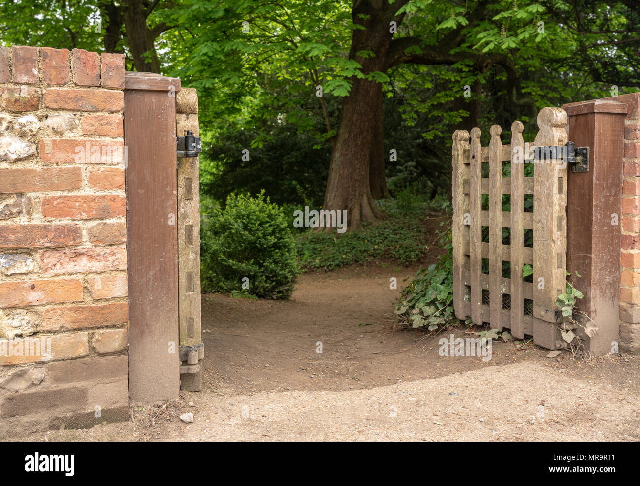 Holz- Gateway in geheimnisvollen Wald Weg Stockfoto
